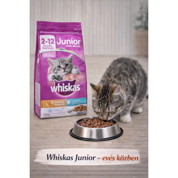 Whiskas Junior száraztáp kiscicák számára csirkével