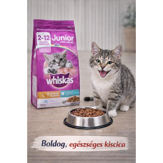 Whiskas Junior száraztáp kiscicák számára csirkével