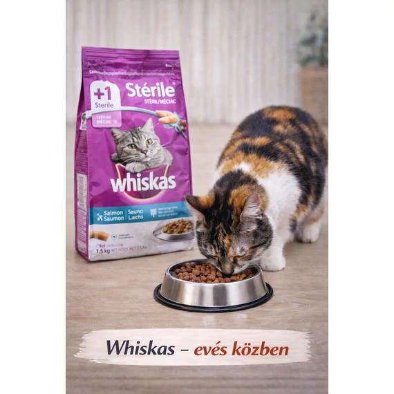 Whiskas Sterile száraztáp csirkehússal felnőtt macskák számára