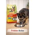 Friskies Active száraz táp felnőtt kutyáknak marha ízesítés