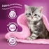 Whiskas Junior száraztáp kiscicák számára csirkével